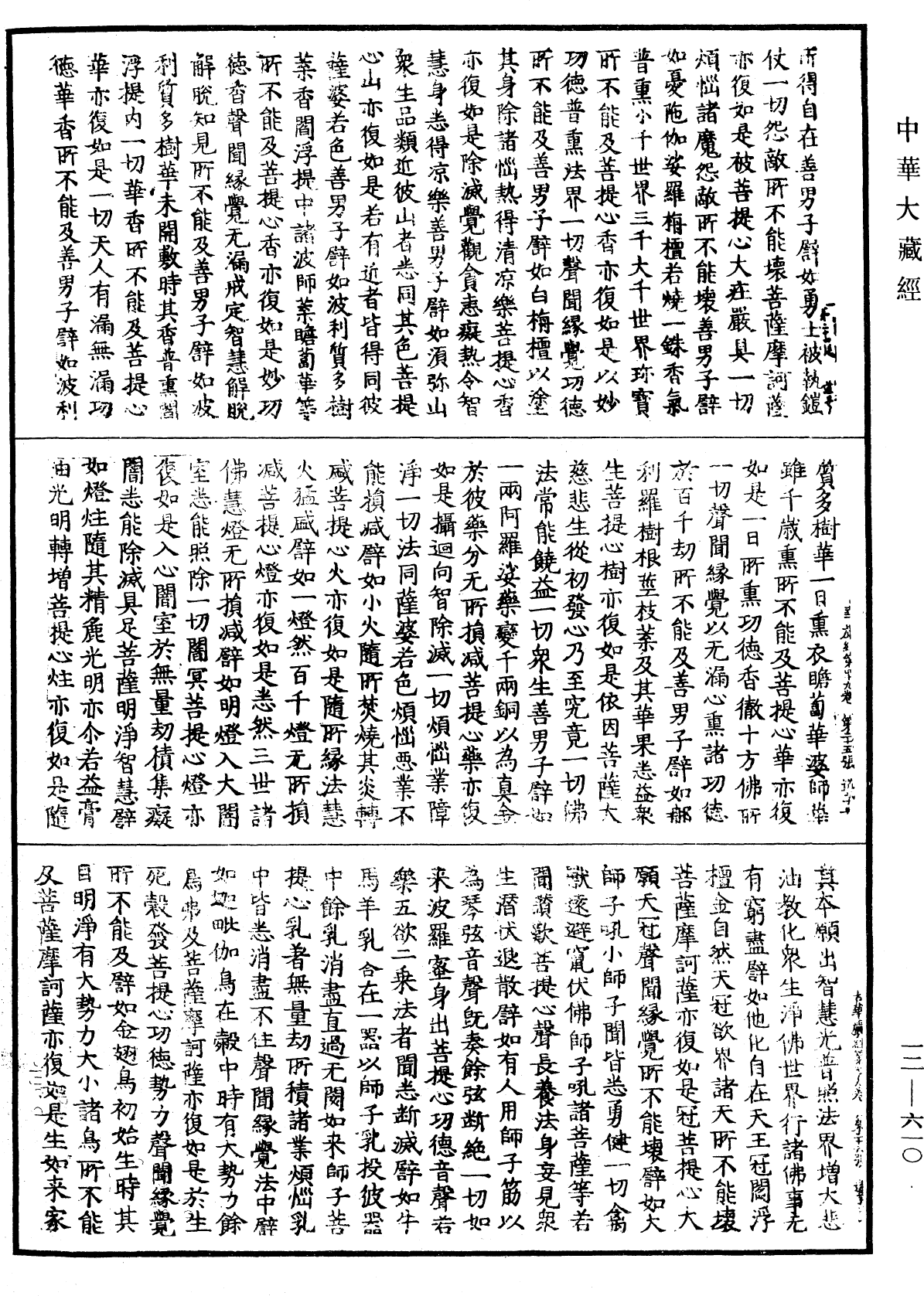 File:《中華大藏經》 第12冊 第610頁.png