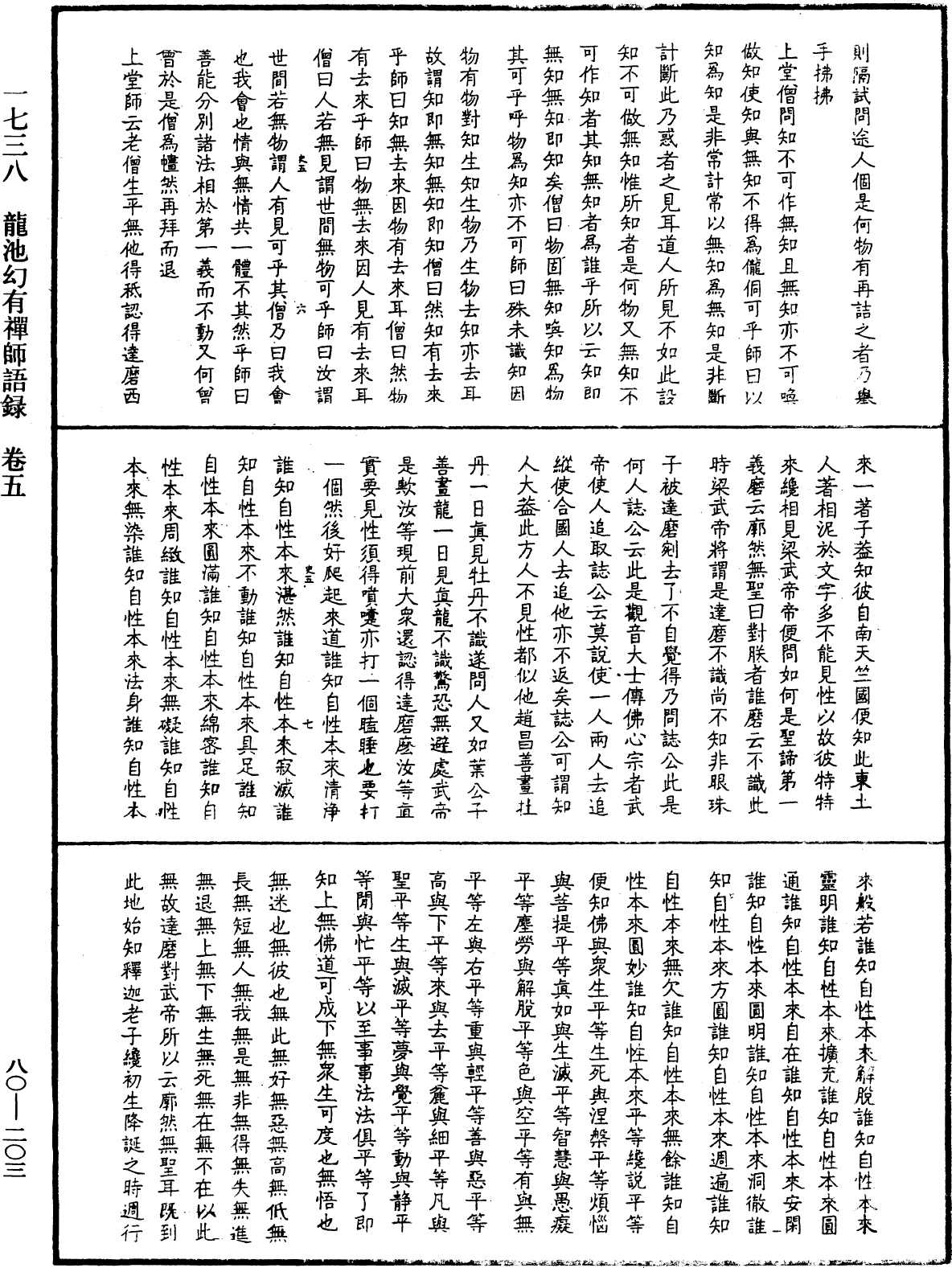 龍池幻有禪師語錄《中華大藏經》_第80冊_第203頁