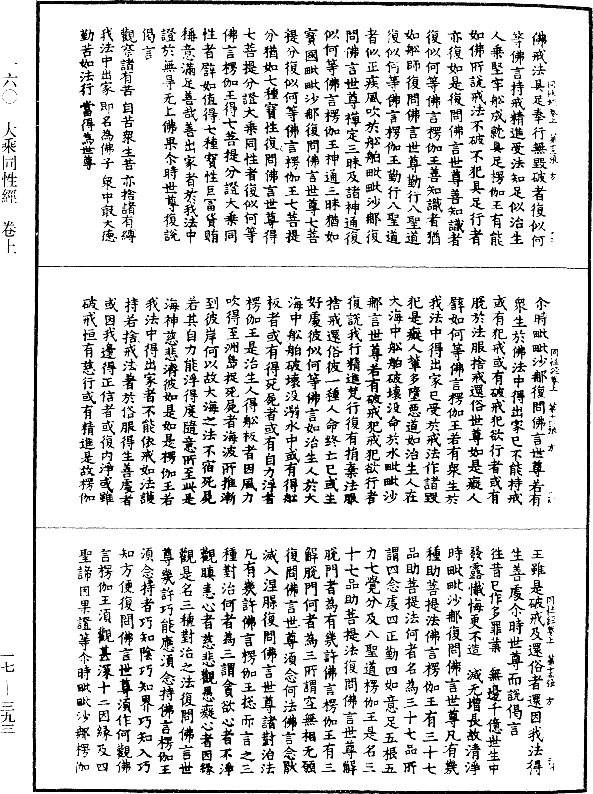 File:《中華大藏經》 第17冊 第393頁.png