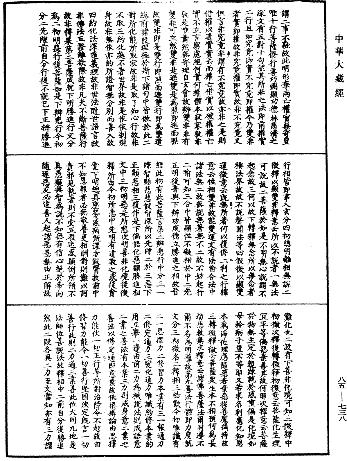 File:《中華大藏經》 第85冊 第0738頁.png