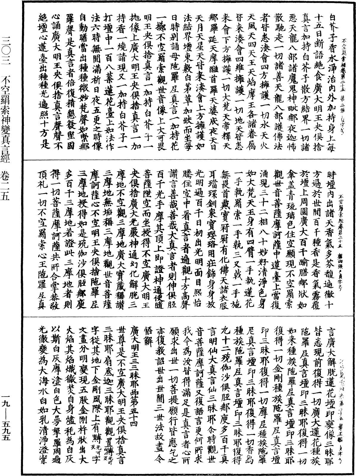 File:《中華大藏經》 第19冊 第595頁.png