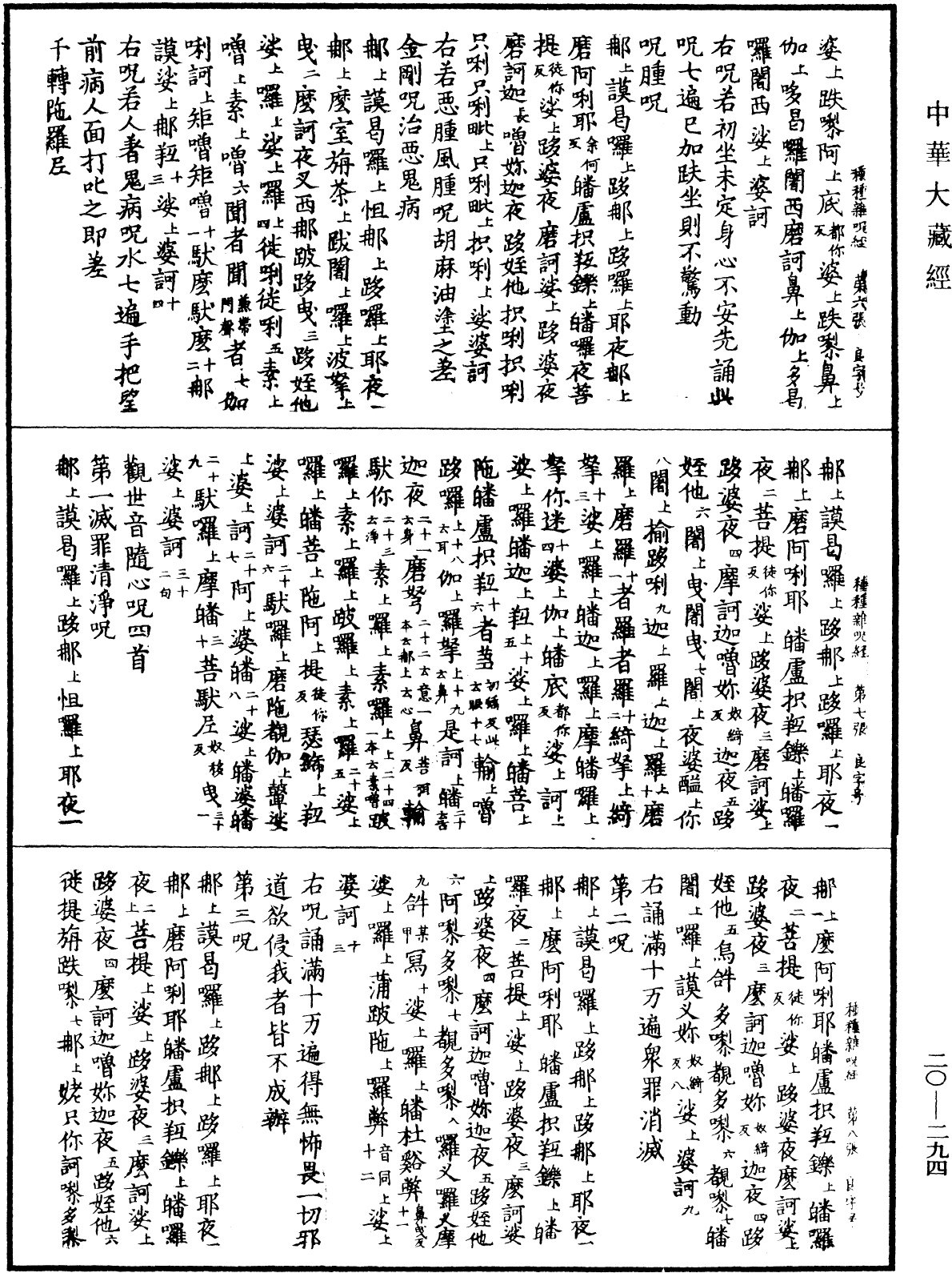 File:《中華大藏經》 第20冊 第0294頁.png