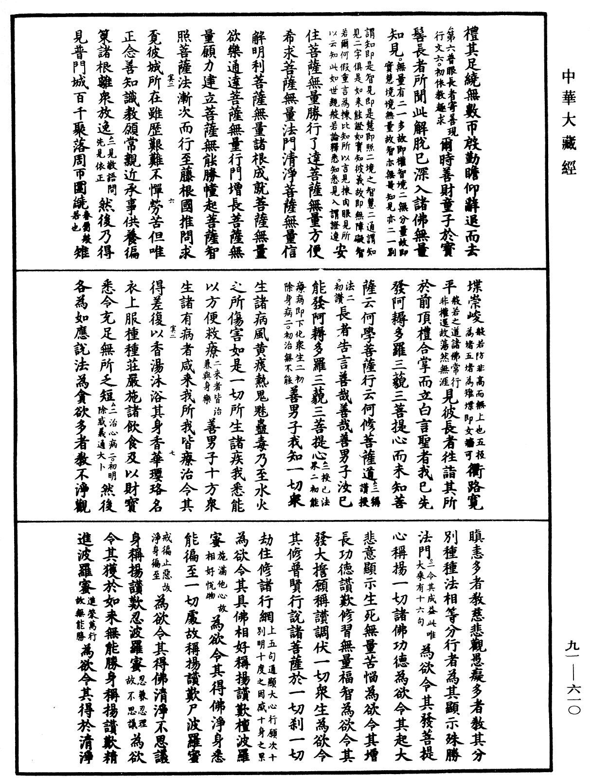 File:《中華大藏經》 第91冊 第0610頁.png