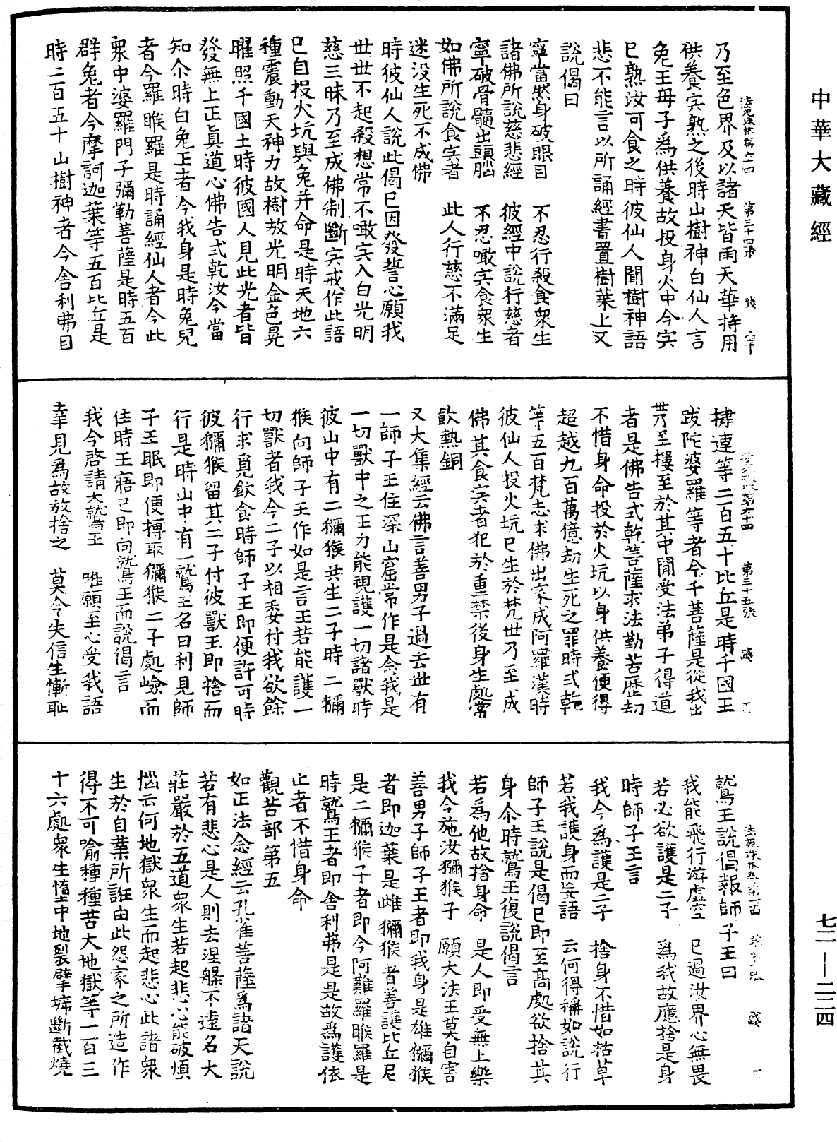 File:《中華大藏經》 第72冊 第224頁.png