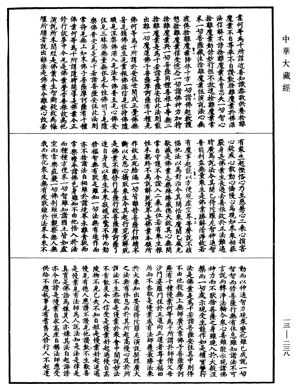 File:《中華大藏經》 第13冊 第238頁.png