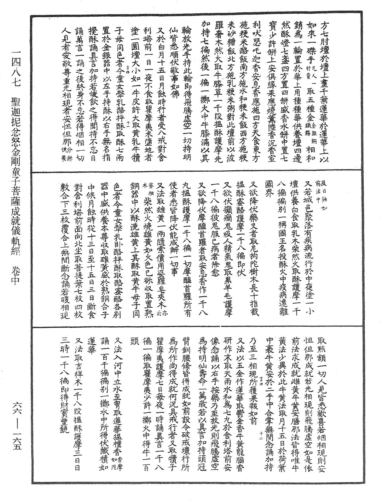 File:《中華大藏經》 第66冊 第165頁.png