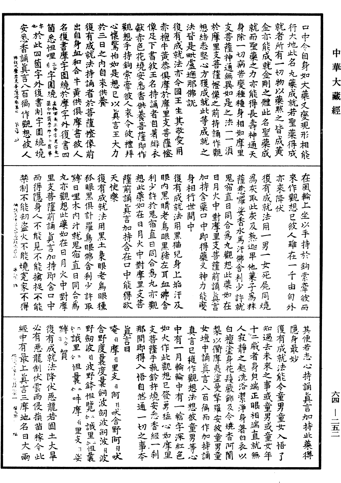 File:《中華大藏經》 第64冊 第0252頁.png