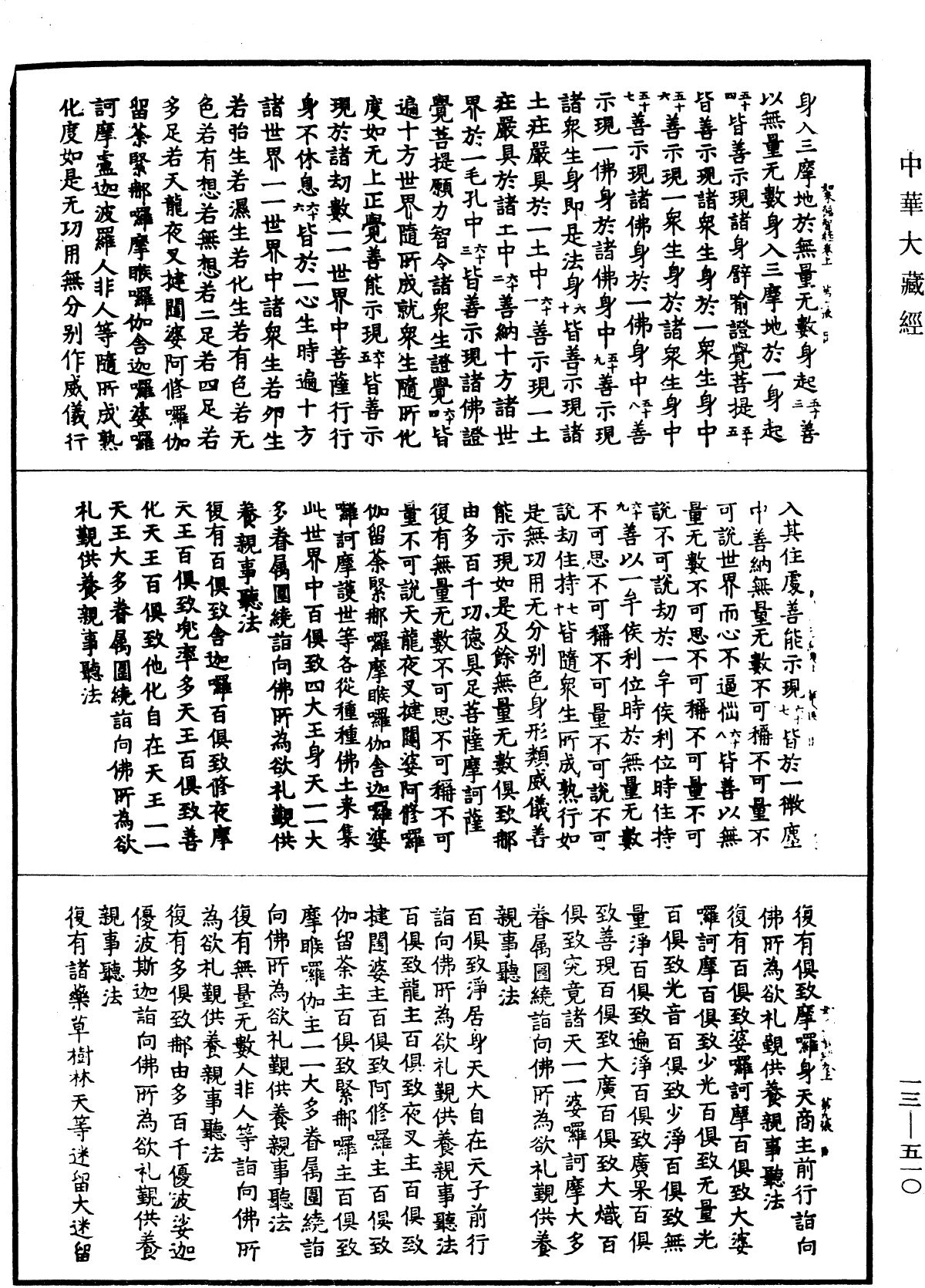 File:《中華大藏經》 第13冊 第510頁.png