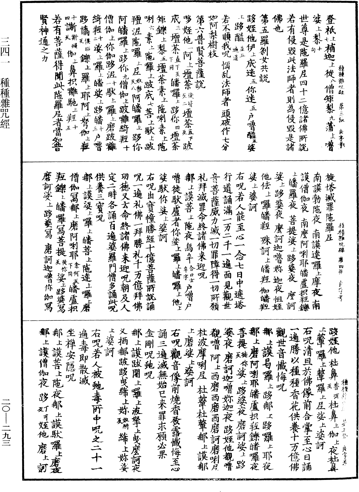 File:《中華大藏經》 第20冊 第0293頁.png