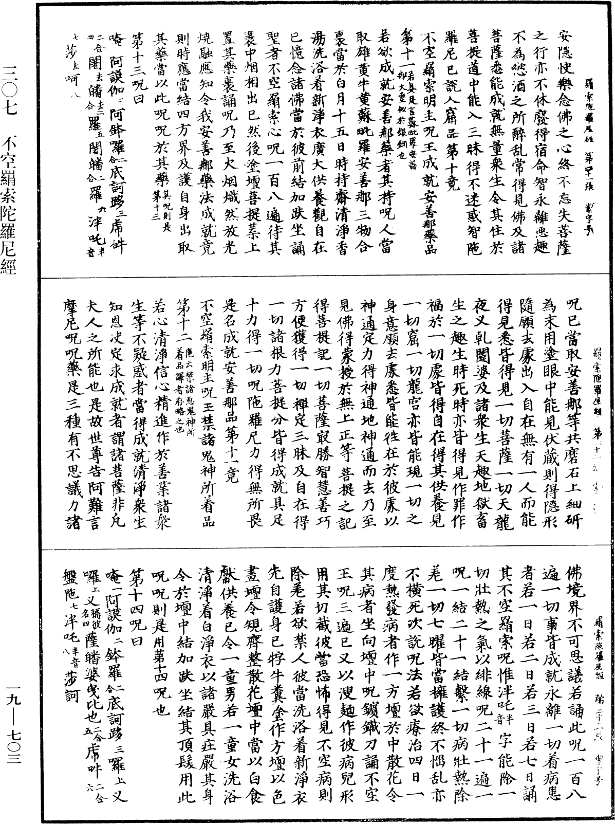 File:《中華大藏經》 第19冊 第703頁.png