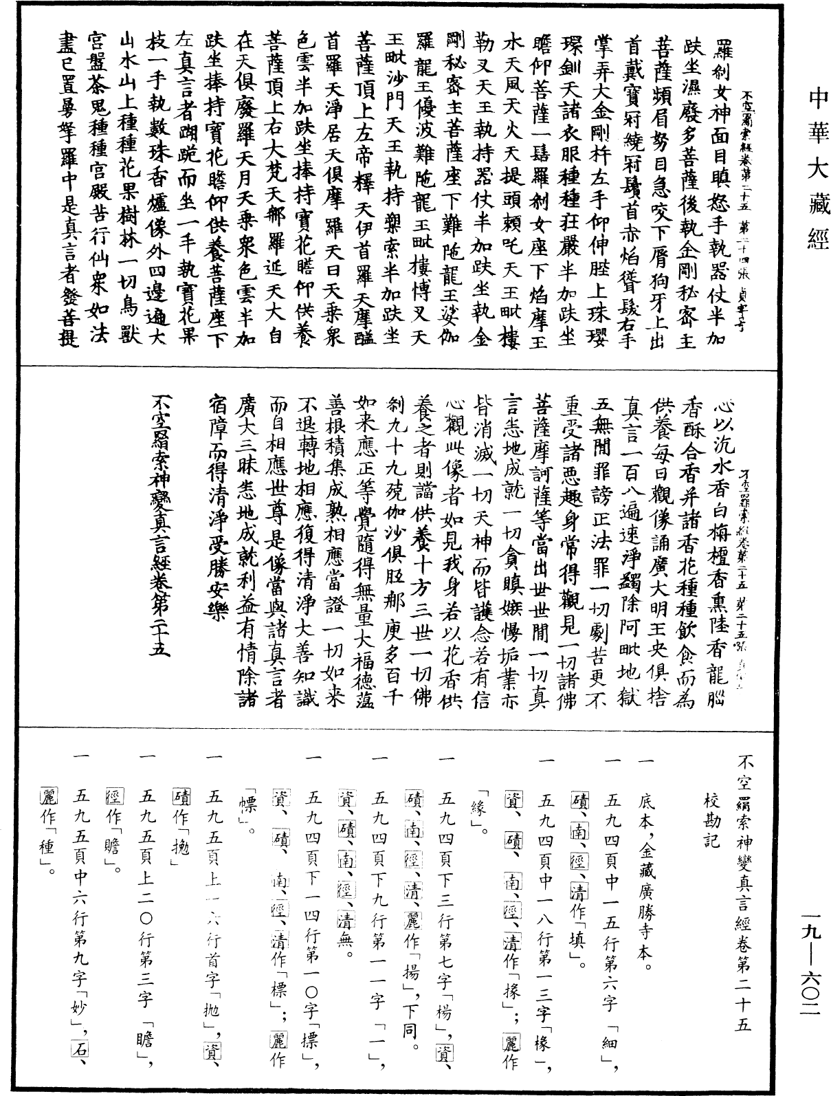 File:《中華大藏經》 第19冊 第602頁.png