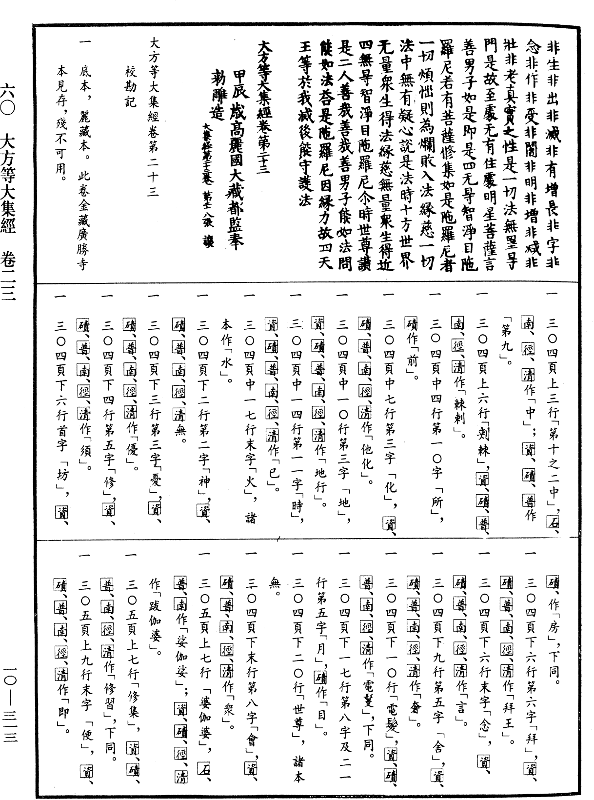 File:《中華大藏經》 第10冊 第313頁.png