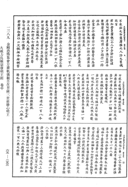 File:《中華大藏經》 第65冊 第0253頁.png