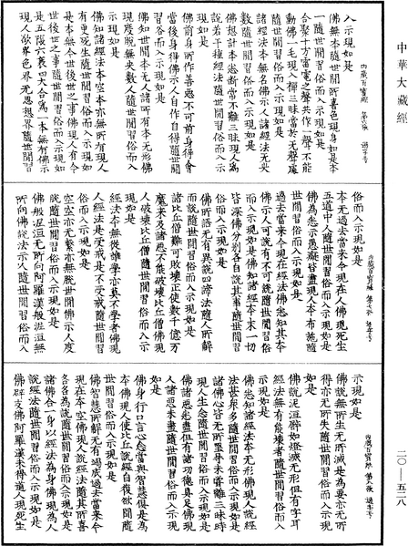 File:《中華大藏經》 第20冊 第0528頁.png