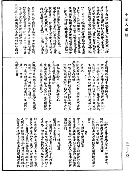 File:《中華大藏經》 第91冊 第0862頁.png