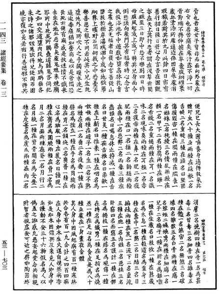 File:《中華大藏經》 第53冊 第703頁.png