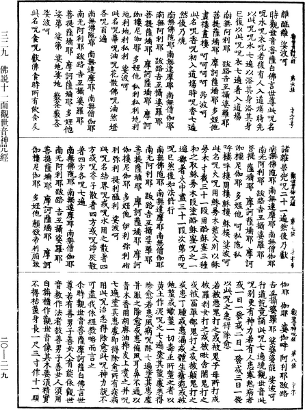 File:《中華大藏經》 第20冊 第0219頁.png