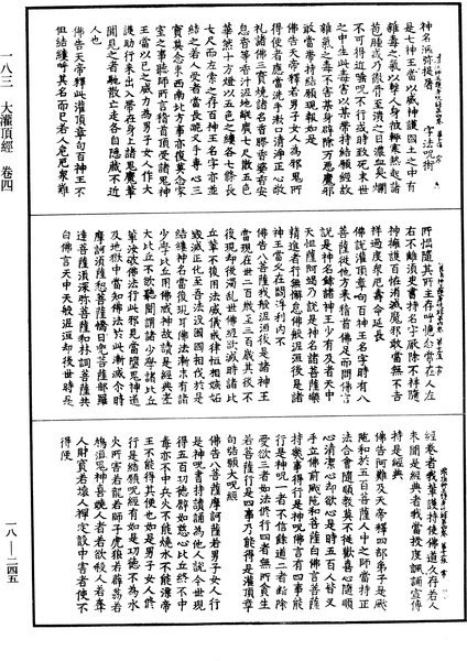 File:《中華大藏經》 第18冊 第245頁.png