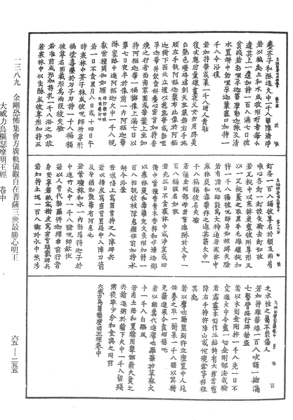 File:《中華大藏經》 第65冊 第0255頁.png