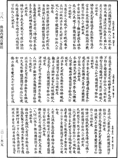 File:《中華大藏經》 第20冊 第0529頁.png