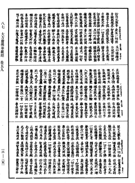 File:《中華大藏經》 第13冊 第251頁.png