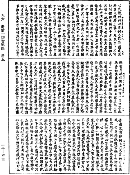 File:《中華大藏經》 第13冊 第625頁.png