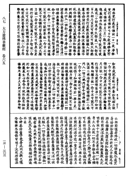 File:《中華大藏經》 第13冊 第303頁.png