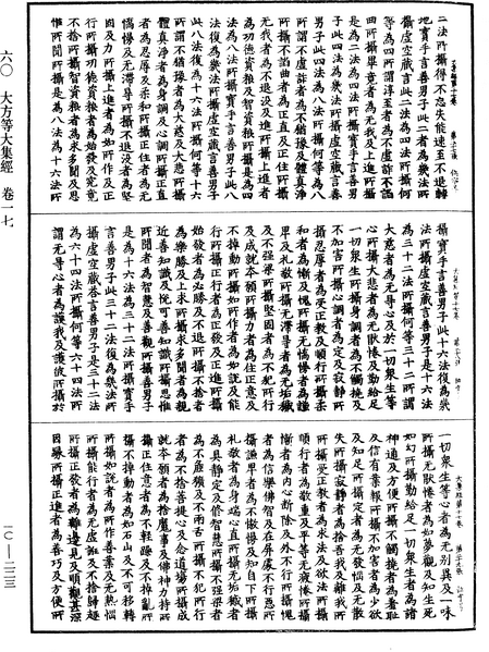 File:《中華大藏經》 第10冊 第223頁.png