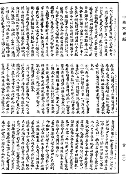 File:《中華大藏經》 第38冊 第310頁.png