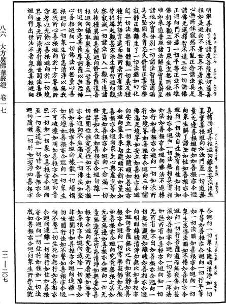 File:《中華大藏經》 第12冊 第207頁.png