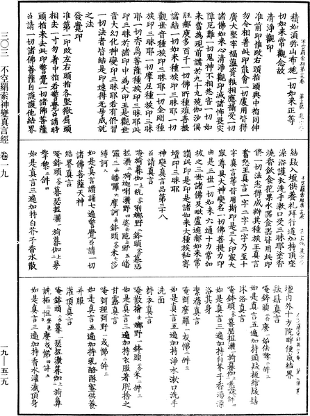 File:《中華大藏經》 第19冊 第529頁.png