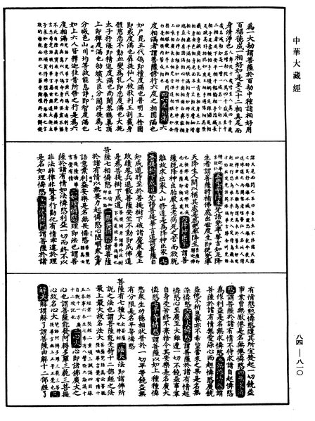 File:《中華大藏經》 第84冊 第0810頁.png