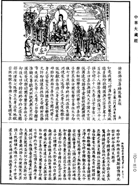 File:《中華大藏經》 第20冊 第0310頁.png