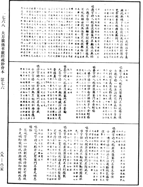 File:《中華大藏經》 第89冊 第825頁.png