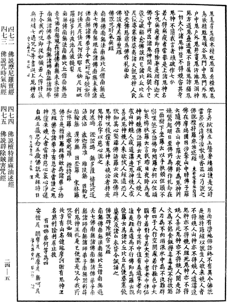 File:《中華大藏經》 第24冊 第005頁.png