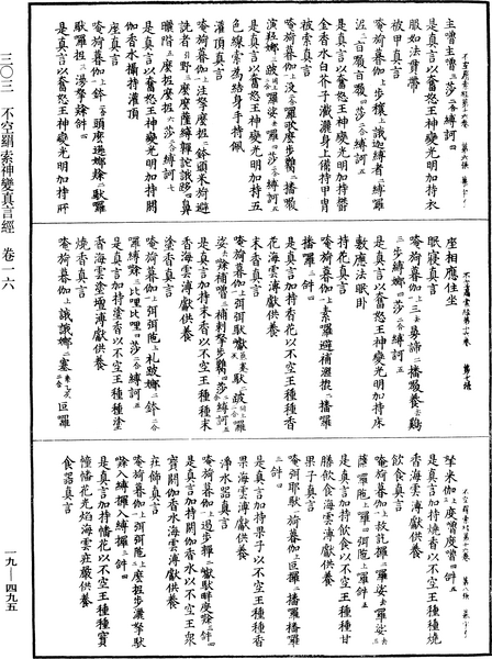 File:《中華大藏經》 第19冊 第495頁.png