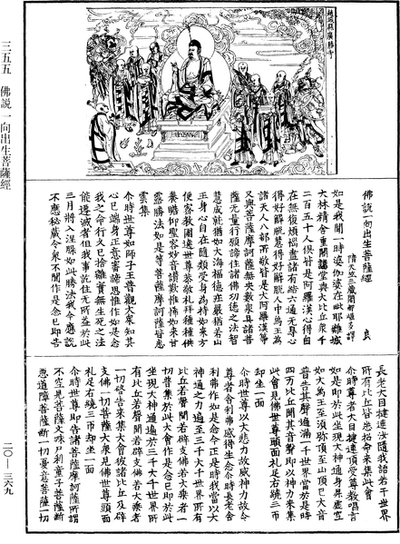 File:《中華大藏經》 第20冊 第0369頁.png