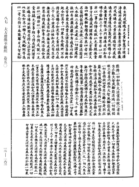 File:《中華大藏經》 第13冊 第163頁.png