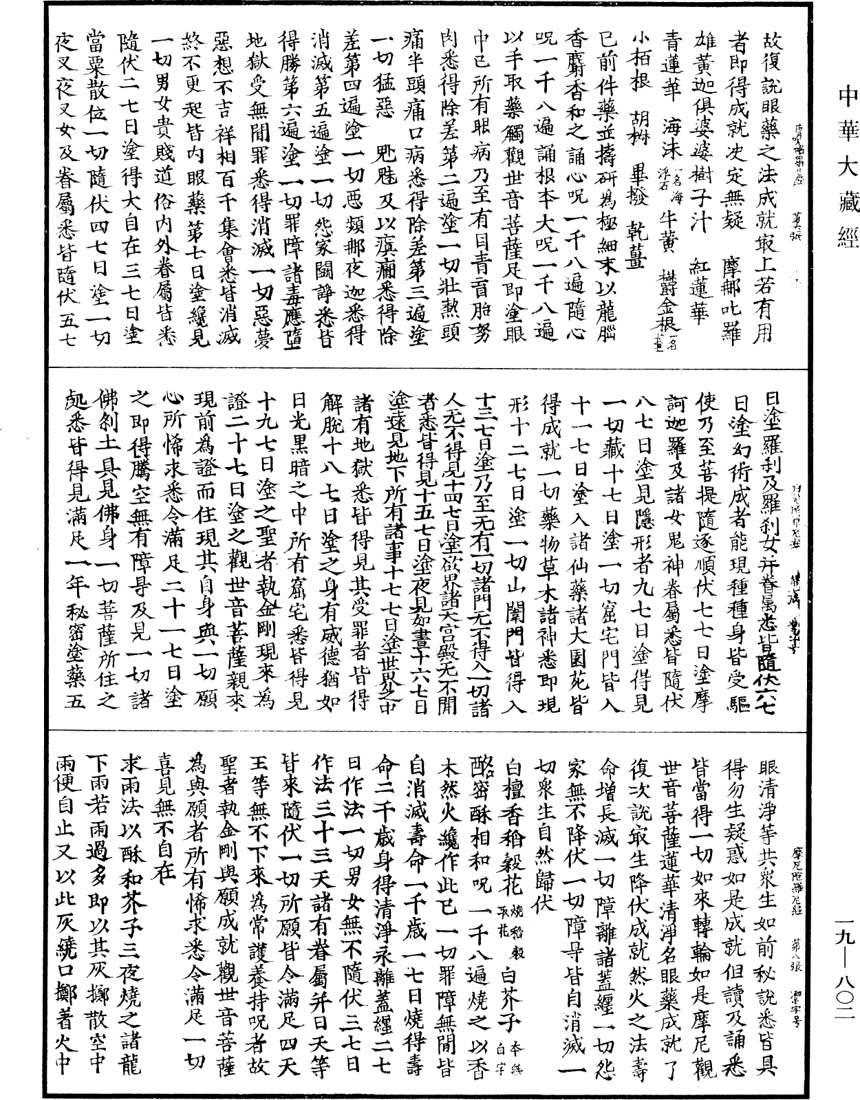 File:《中華大藏經》 第19冊 第802頁.png