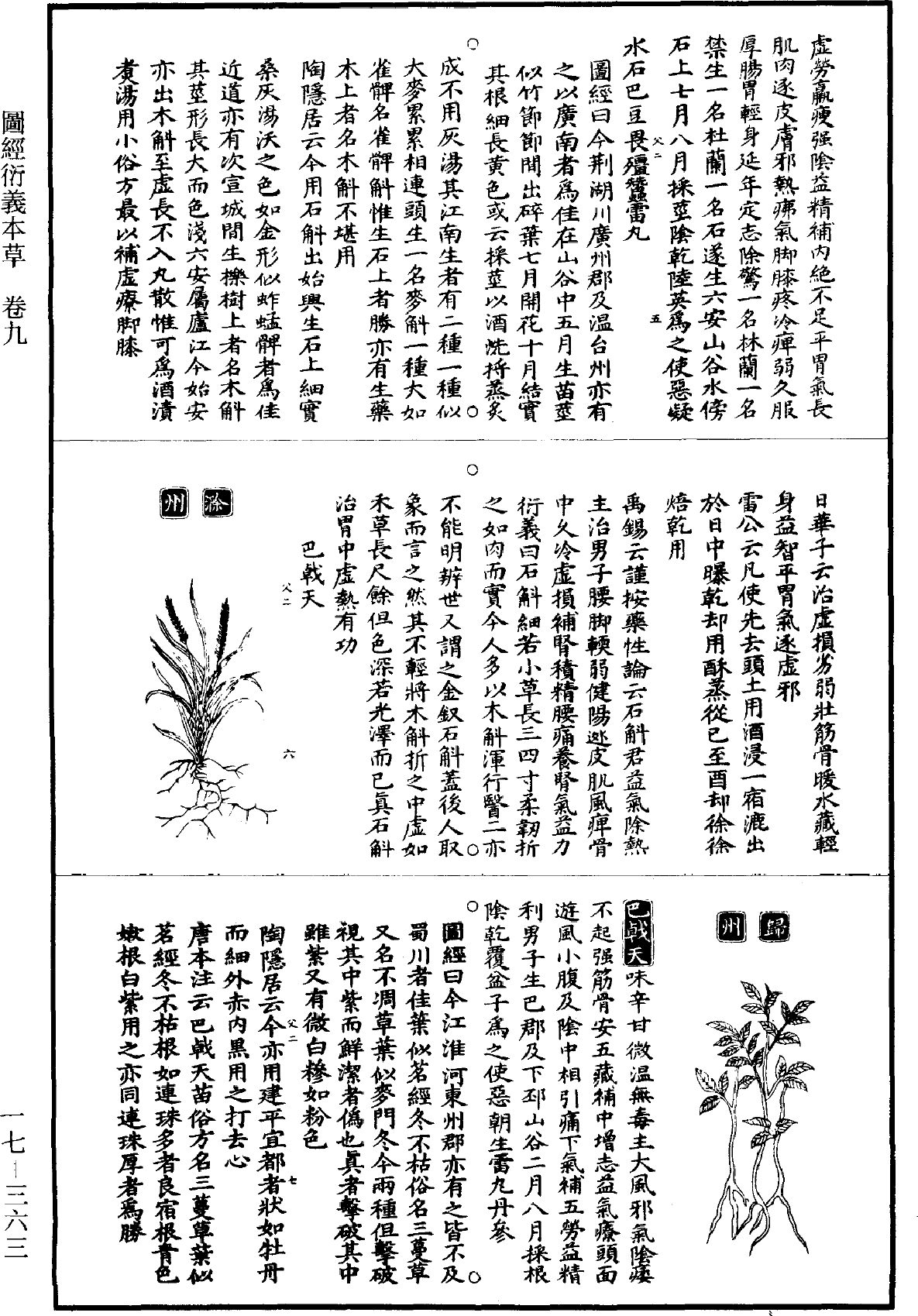 圖經衍義本草《道藏》第17冊_第363頁