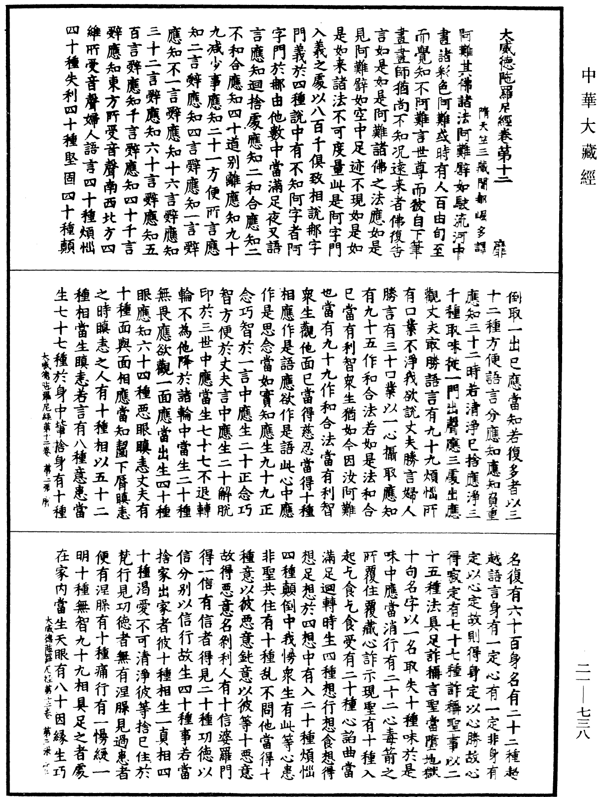 File:《中華大藏經》 第21冊 第738頁.png