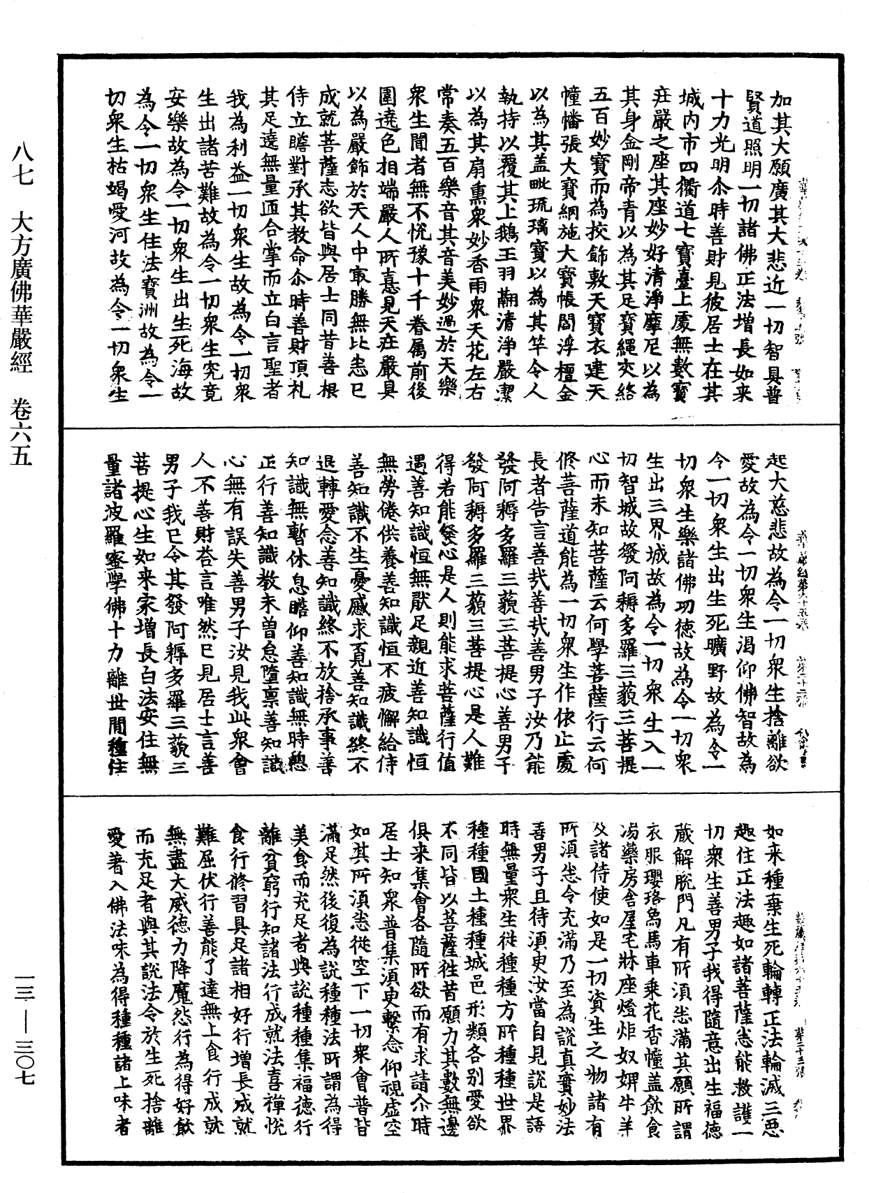 File:《中華大藏經》 第13冊 第307頁.png