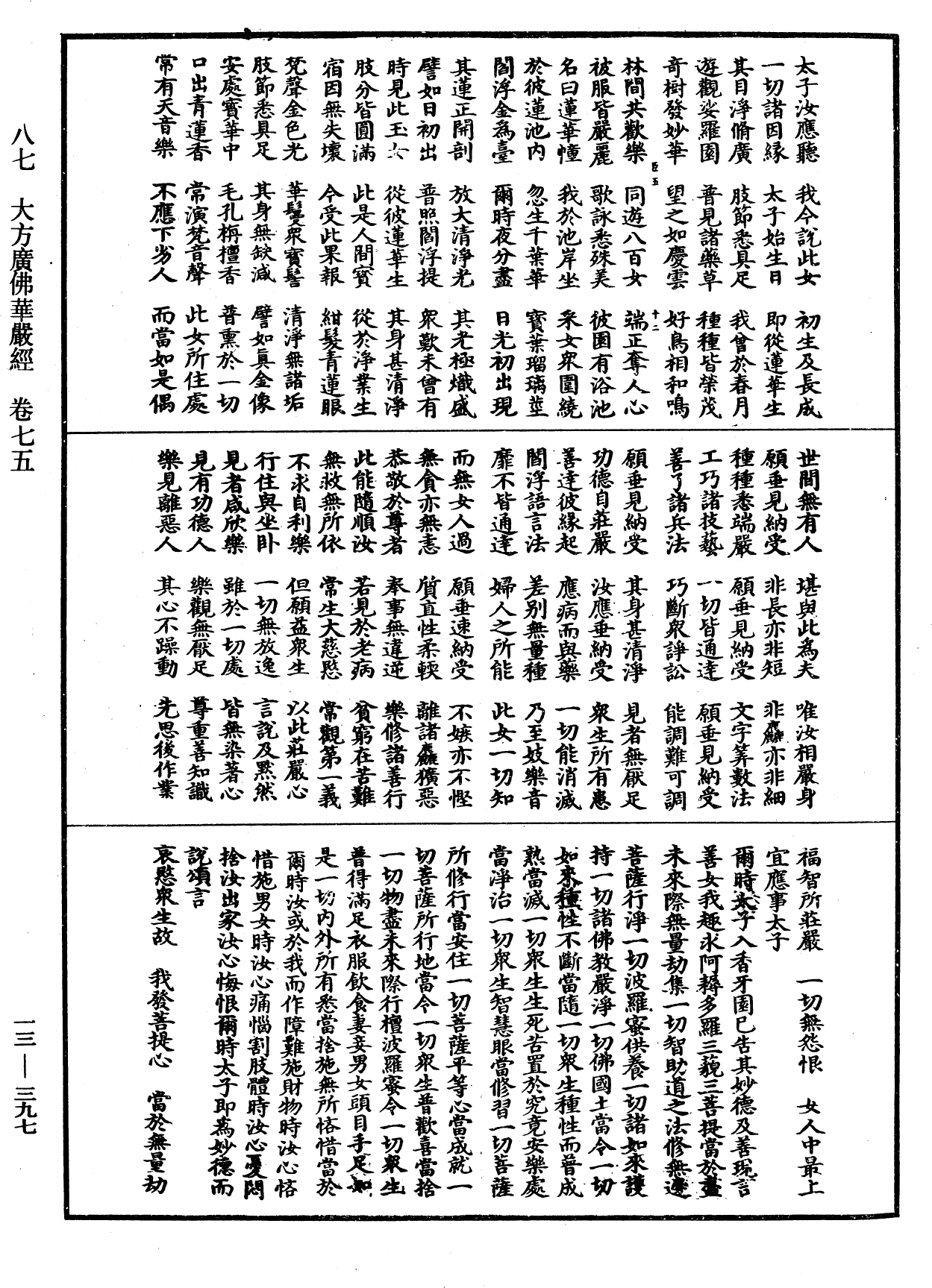 File:《中華大藏經》 第13冊 第397頁.png