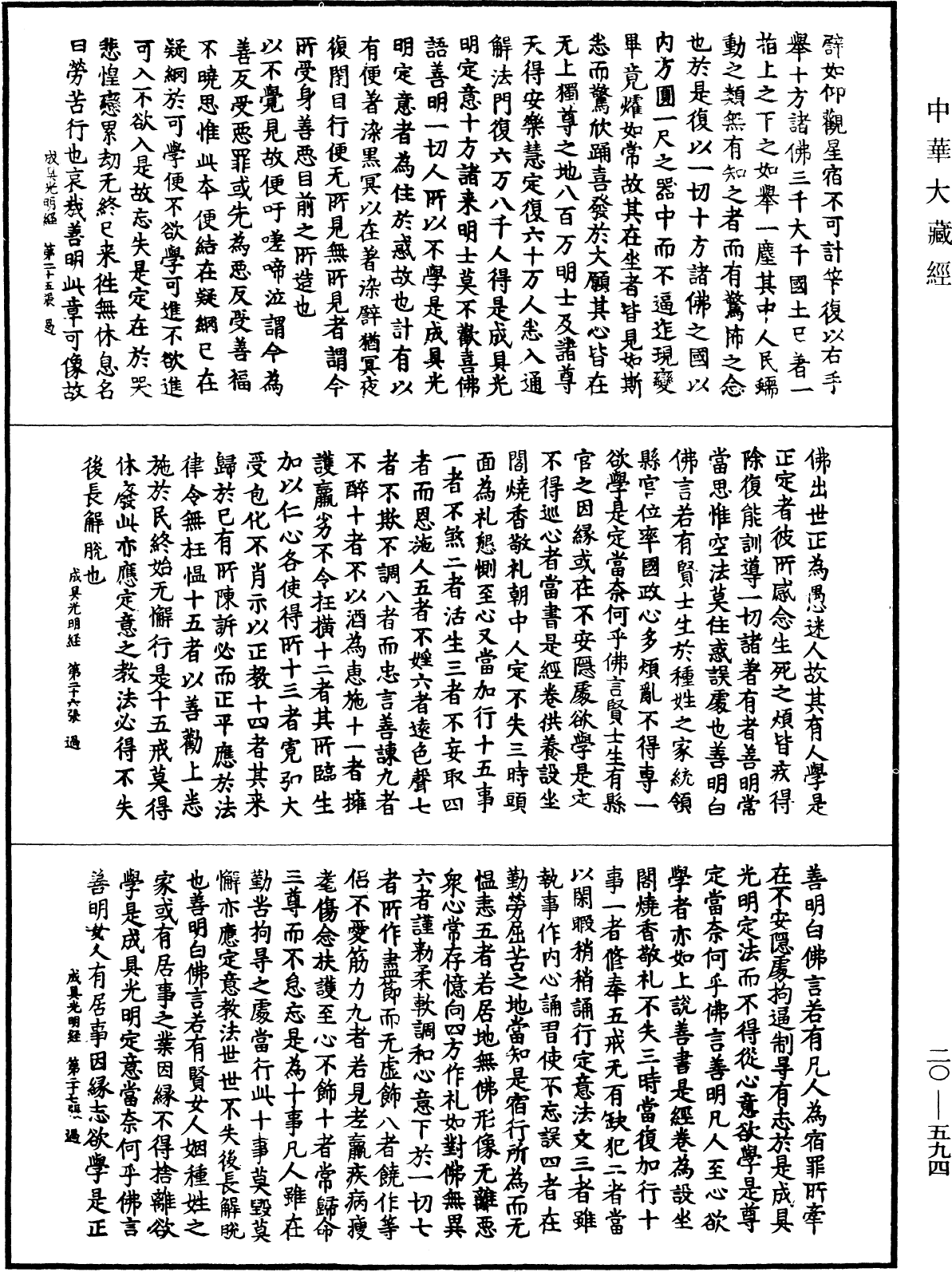 File:《中華大藏經》 第20冊 第0594頁.png