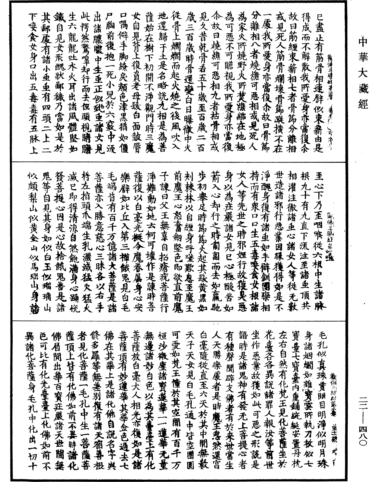 File:《中華大藏經》 第22冊 第480頁.png