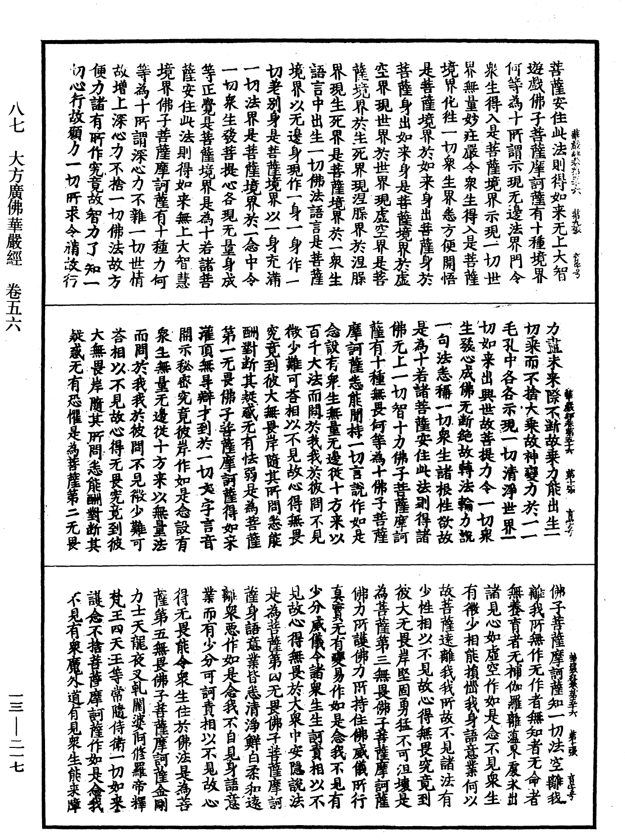 File:《中華大藏經》 第13冊 第217頁.png