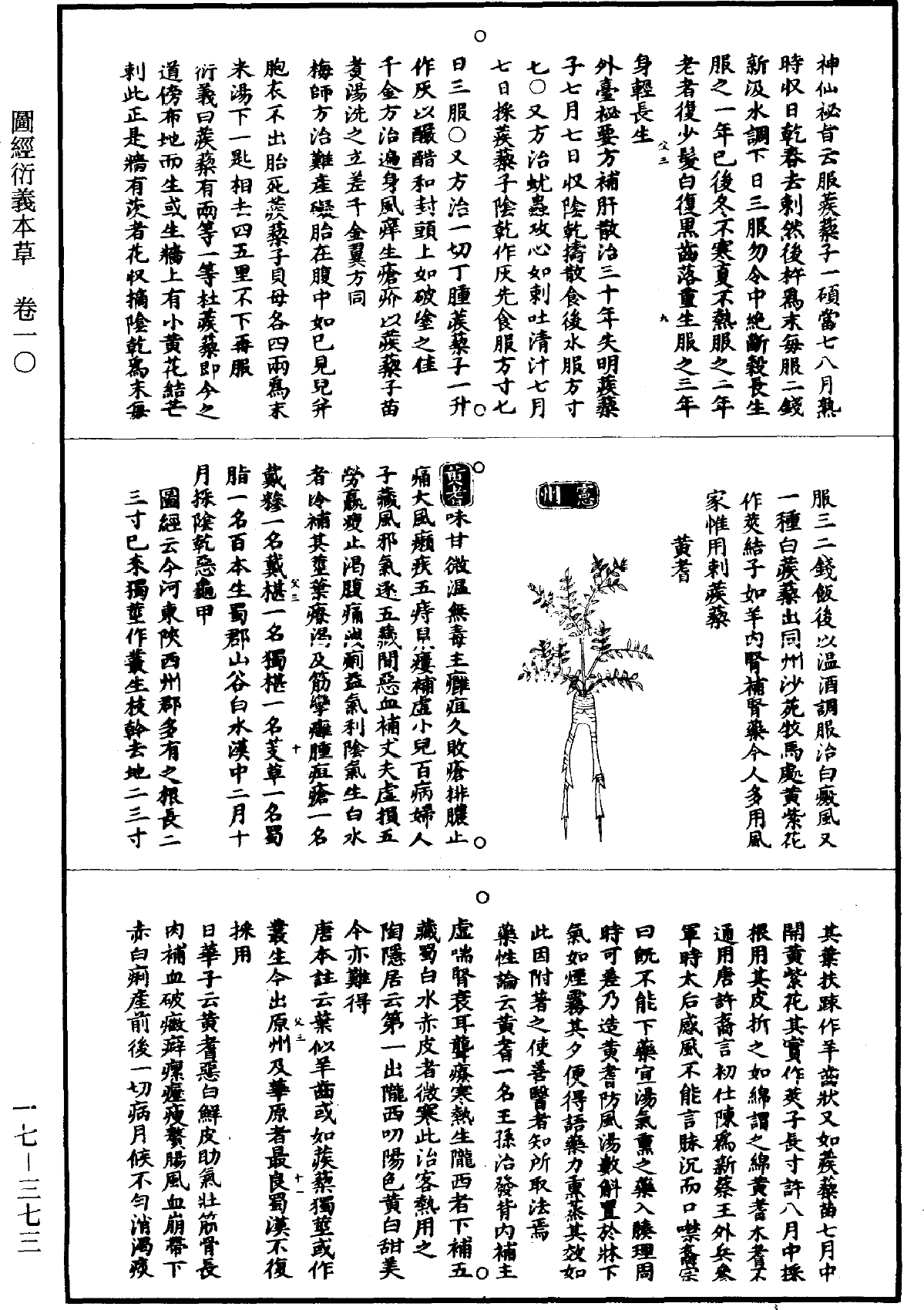 圖經衍義本草《道藏》第17冊_第373頁