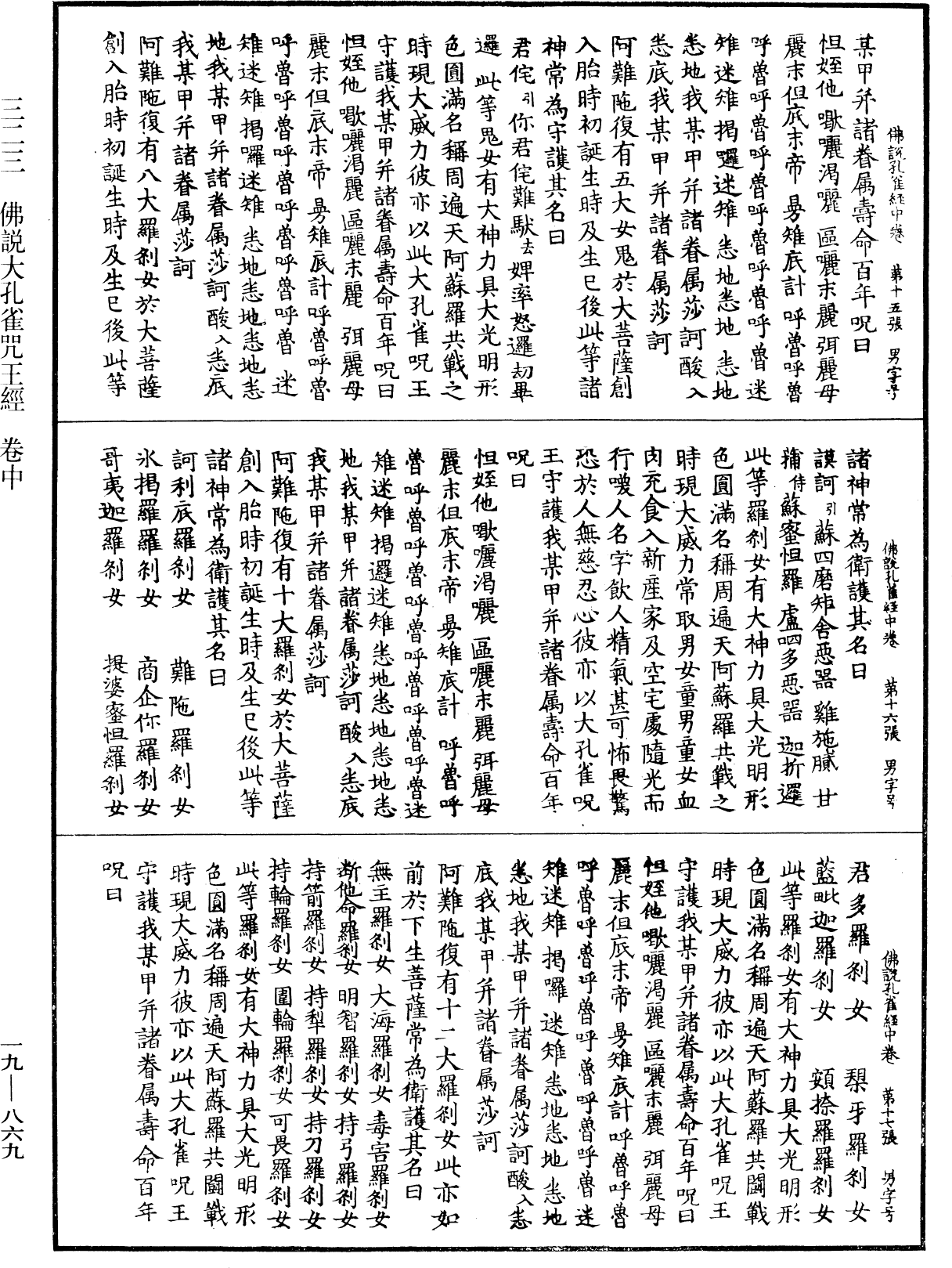 File:《中華大藏經》 第19冊 第869頁.png