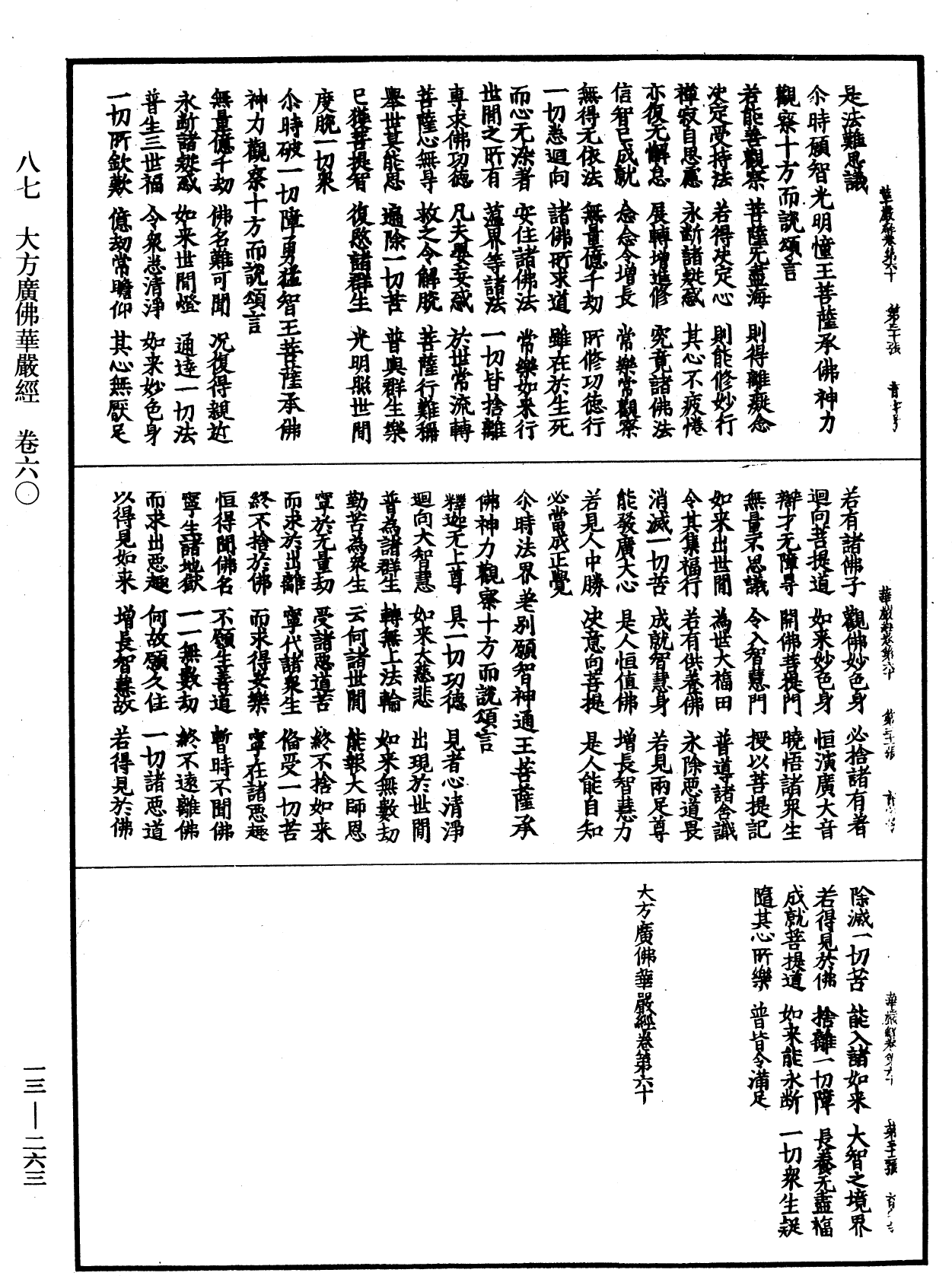 File:《中華大藏經》 第13冊 第263頁.png