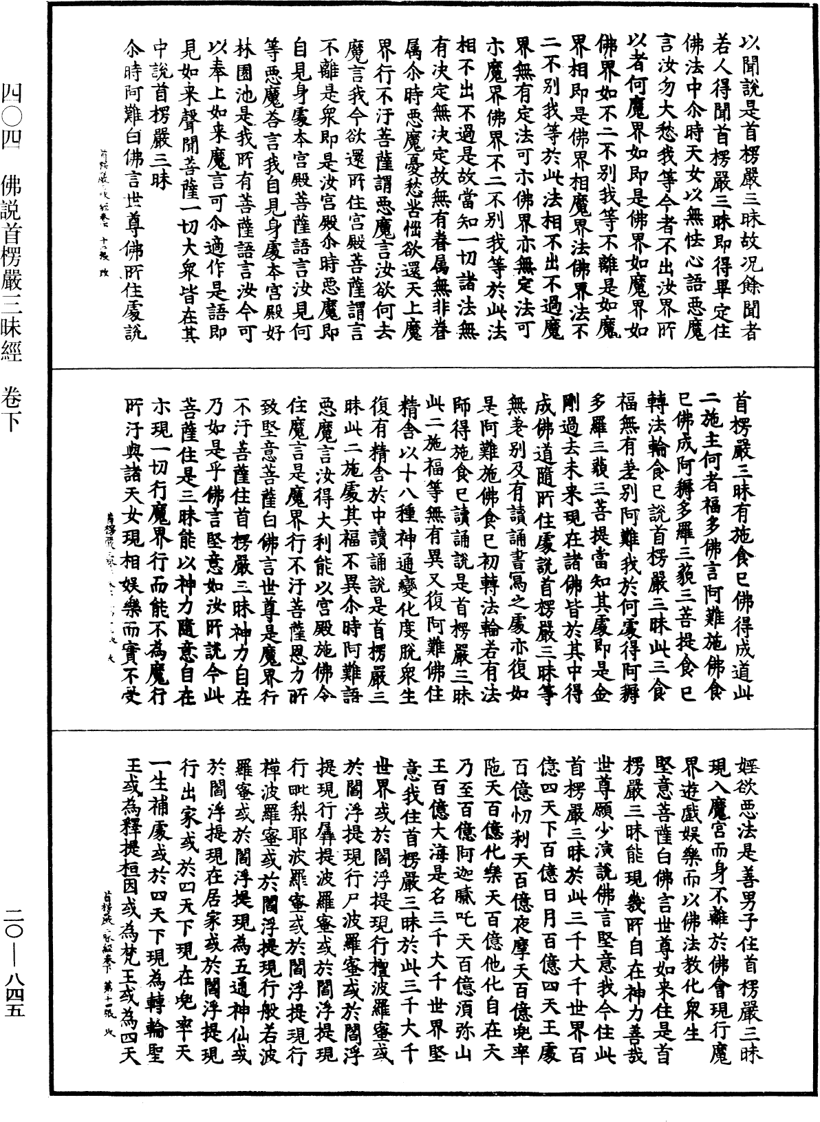 File:《中華大藏經》 第20冊 第0845頁.png